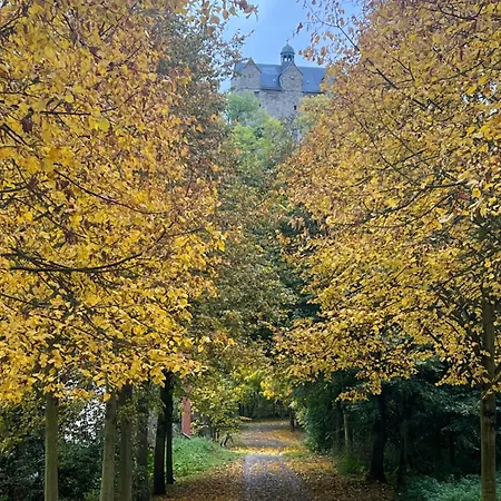 Rosa Allee34 Ballenstedt