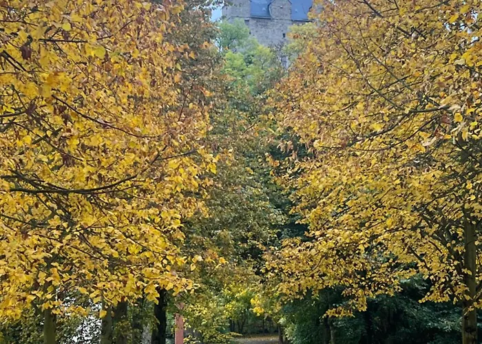 Rosa Allee34 Ballenstedt